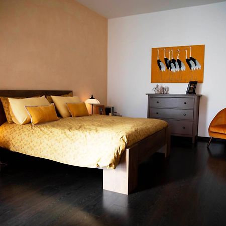Sound Of Colors - Art Design Apartment Desenzano del Garda Extérieur photo